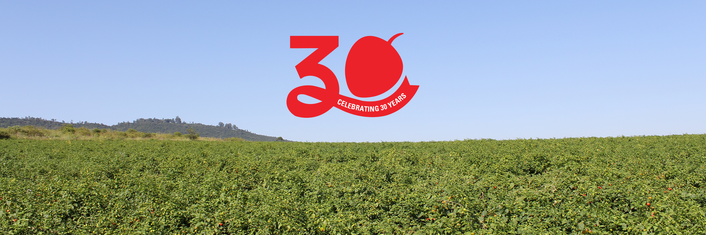 Peppadew 30 Years